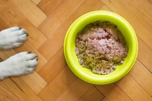 Just Food For Dogs 